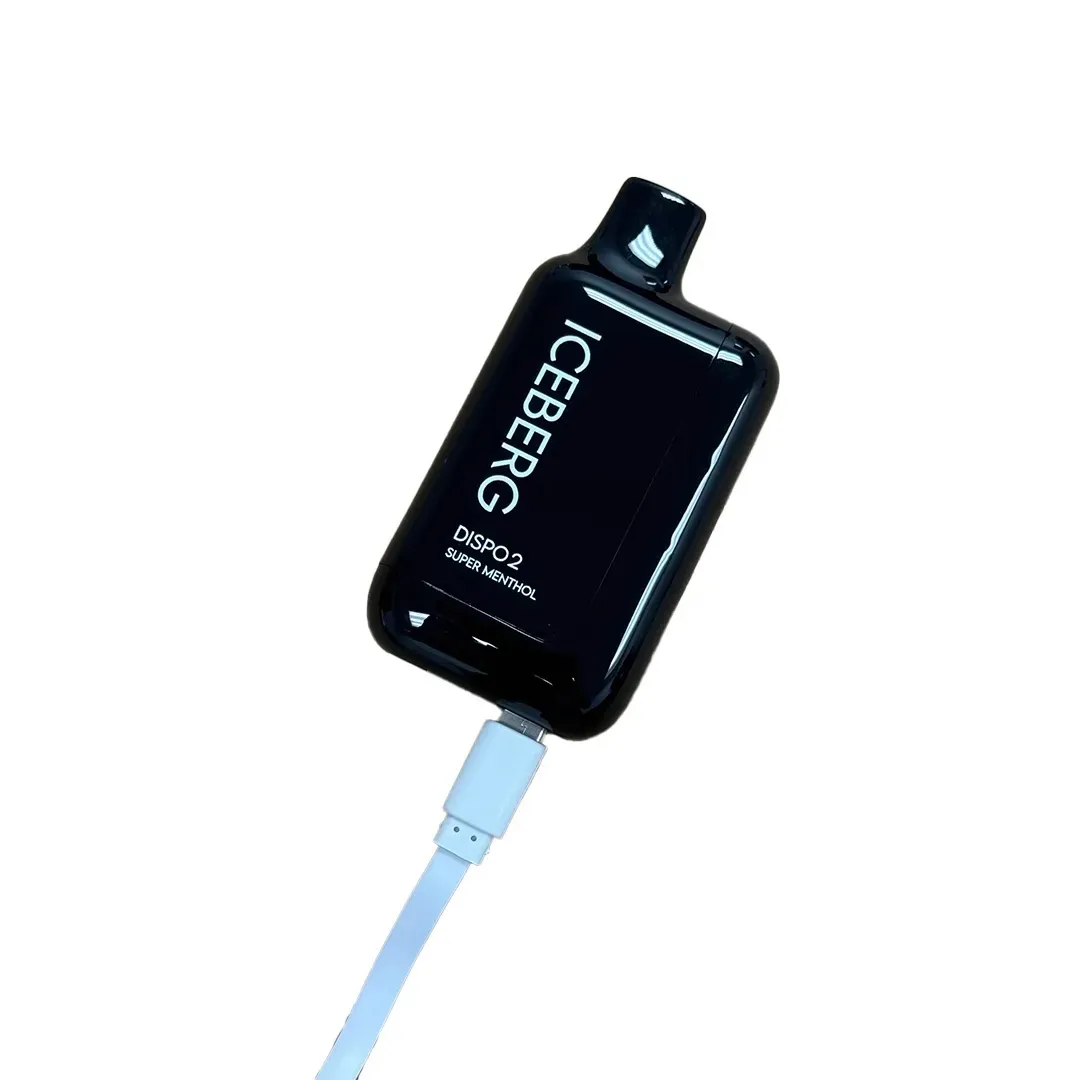 ICEBERG Dispo2 デバイス充電ポート
